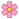 pink flower