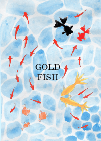 JAPANESE GOLD FISH kingyo