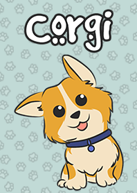 Corgi The Cute dog