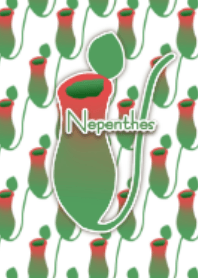 Nepenthes