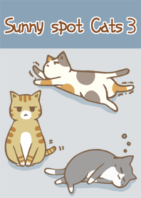 陽光下的貓 3