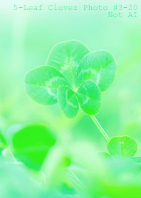5-leaf clover Photo#3-20Not AI
