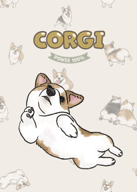 corgicorgi8 / beige