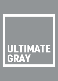 Fashion color "ULTIMATE GRAY"