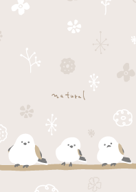 Long-tailed Tit winter pattern5 Japan