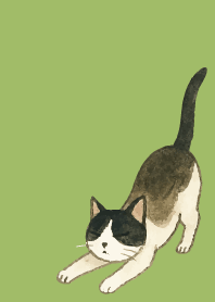 tuxedo cat03 on moss green