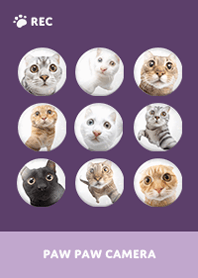 Paw Paw Camera -  Purple 11