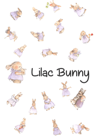 Lilac bunny
