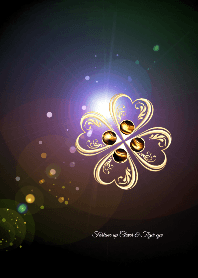 Fortune up Clover & Tiger eye