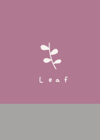 Adult lavender and gray leaves.