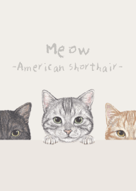 Meow - American Shorthair - PASTEL IVORY