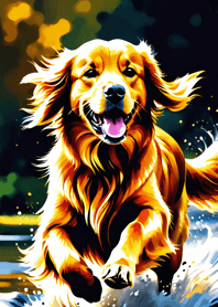 Golden Retriever   A3dd50