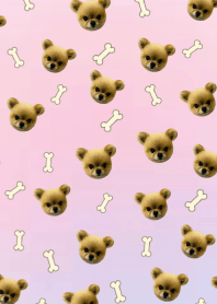 POM PRINCESS