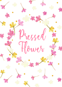 Pressed flower -01-