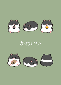 我養的黃金鼠-黑熊鼠(霧灰綠)