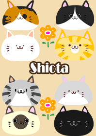 しおた用北欧風かわいいネコの着せかえ