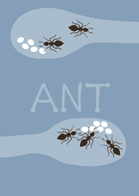 The ants I raised(Morandi Blue)