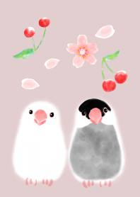 java sparrow and cherry for jp
