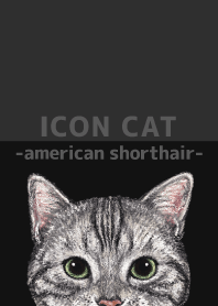 ICON CAT - American Shorthair - BLACK/01