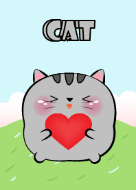 Cute Chubby Grey Cat  Theme