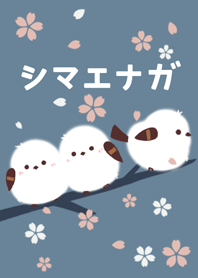 くつろぎシマエナガ 桜ver 7