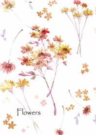 There is a transparent scent13.