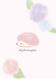 Hedgehog and Hydrangea -pink-