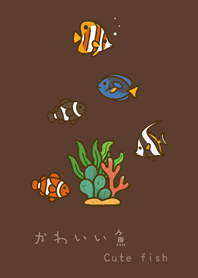 My marine fish(dark brown)