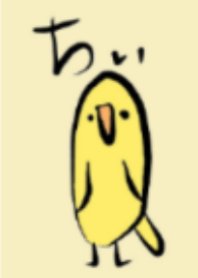 Bird chii