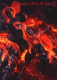 Bonfire Photo #2-33 Not AI