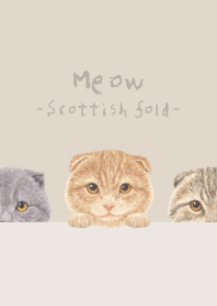 Meow - Scottish fold - PASTEL BROWN