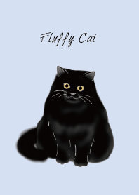 Fluffy black cat, long-haired breed blue