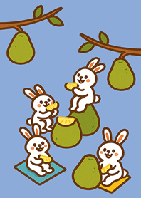 Rabbit eating grapefruit-Basic Color