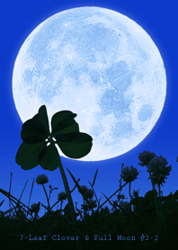 七つ葉のクローバー & Full Moon #2-2
