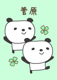 O tema bonito panda para Sugawara