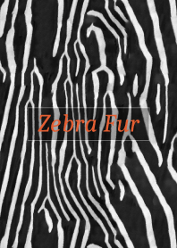 Zebra Fur 35