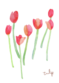 Tulip flower theme. watercolor