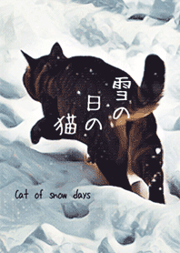 雪の日の猫