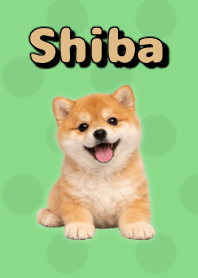 Shiba Inu Plush Theme Green 01