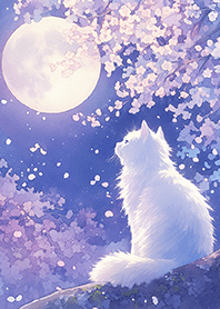 紫櫻花滿月下的貓❤️