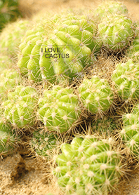 I LOVE CACTUS