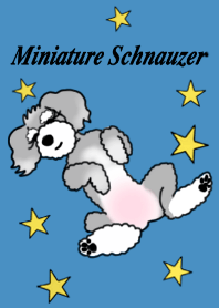 AER the Miniature Schnauzer