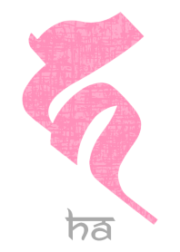 BONJI [ha] WHITE PINK (0283