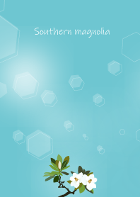 June birth flower,Southern magnolia
