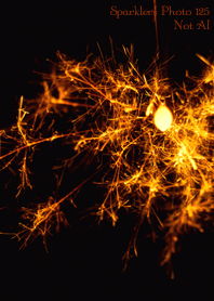 Sparklers Photo125 Not AI