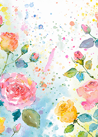 Beautiful rose flower(R4263)