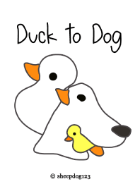 Duck to Dog