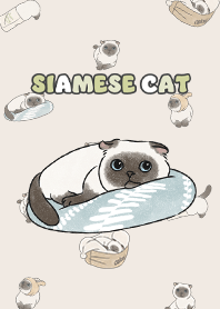 siamesecat7 - cream