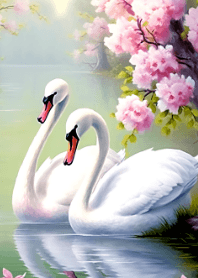 beautiful and elegant swan#3