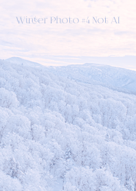 Winter Photo #4-8 Not AI
